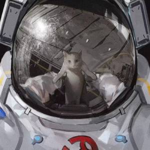 丝袜妈咪杨全文阅读笔趣阁
