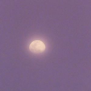 丝袜妈咪杨全文阅读笔趣阁
