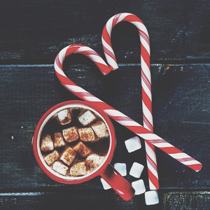 丝袜妈咪杨全文阅读笔趣阁
